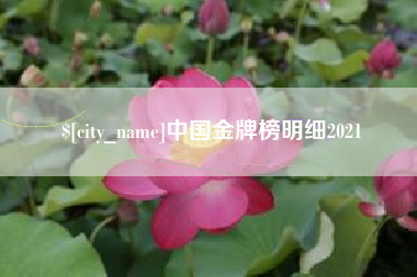 涉县中国金牌榜明细2021