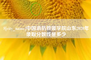 涉县中国消防救援学院山东2020年录取分数线是多少