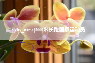 涉县5000米长跑国家运动员