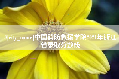 涉县中国消防救援学院2021年浙江省录取分数线