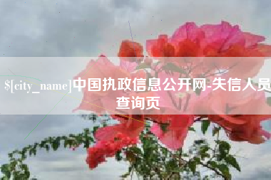 涉县中国执政信息公开网-失信人员查询页