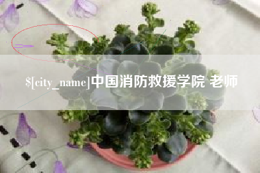 涉县中国消防救援学院 老师