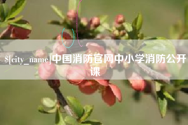涉县中国消防官网中小学消防公开课