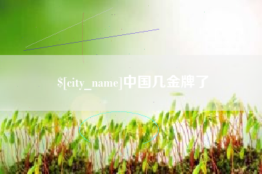 涉县中国几金牌了