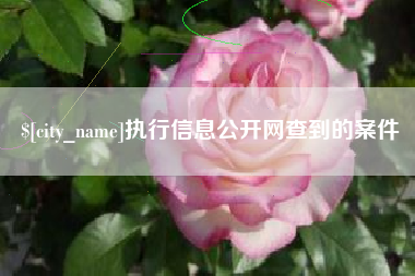 涉县执行信息公开网查到的案件