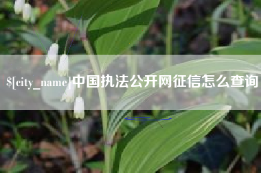 涉县中国执法公开网征信怎么查询