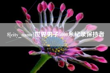 涉县世界男子5000米纪录保持者