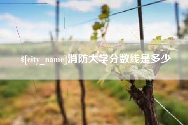 涉县消防大学分数线是多少