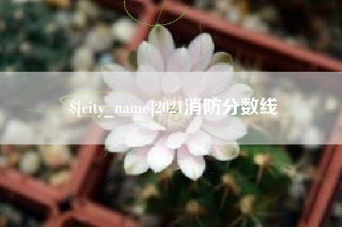 涉县2021消防分数线