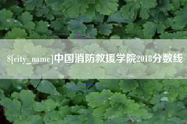 涉县中国消防救援学院2018分数线