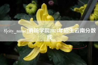 涉县消防学院2024年招生云南分数线