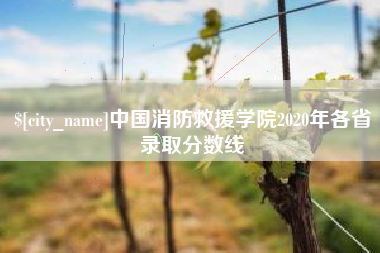 涉县中国消防救援学院2020年各省录取分数线