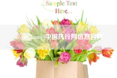 涉县中国执行网信息官网
