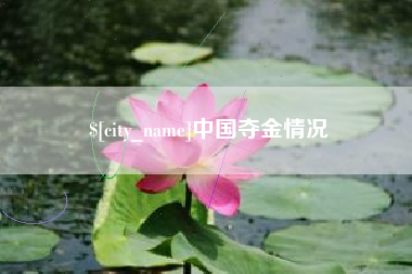 涉县中国夺金情况