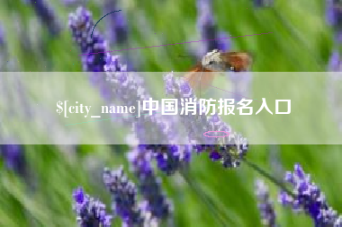 涉县中国消防报名入口