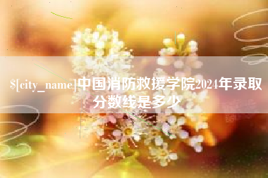 涉县中国消防救援学院2024年录取分数线是多少
