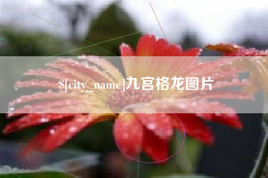 涉县九宫格龙图片