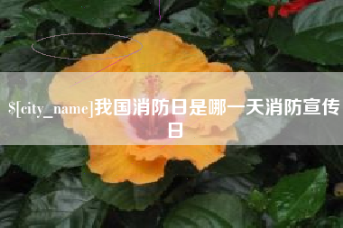 涉县我国消防日是哪一天消防宣传日