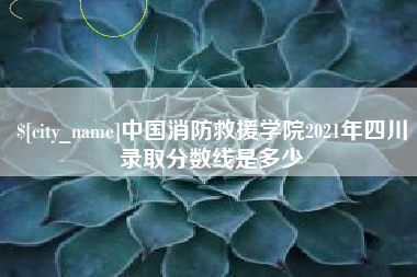 涉县中国消防救援学院2021年四川录取分数线是多少