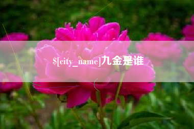 涉县九金是谁