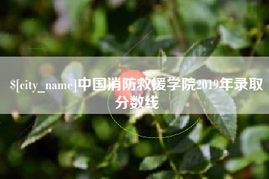 涉县中国消防救援学院2019年录取分数线