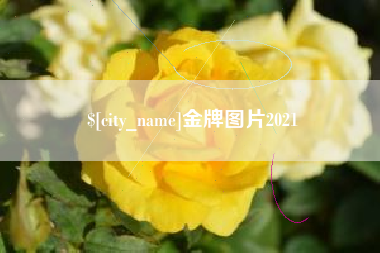 涉县金牌图片2021