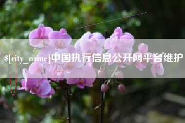 涉县中国执行信息公开网平台维护