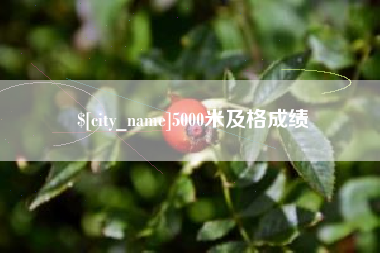 涉县5000米及格成绩