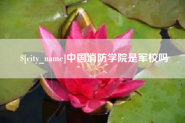涉县中国消防学院是军校吗