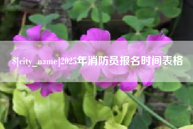 涉县2025年消防员报名时间表格