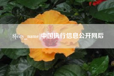 涉县中国执行信息公开网后