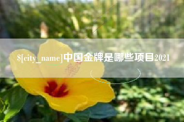涉县中国金牌是哪些项目2021
