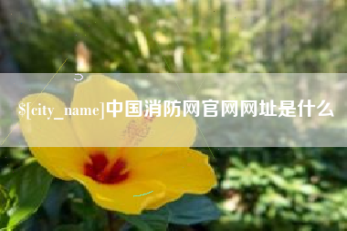 涉县中国消防网官网网址是什么