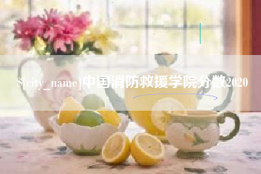 涉县中国消防救援学院分数2020