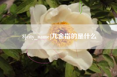 涉县九金指的是什么