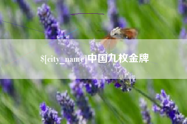 涉县中国九枚金牌