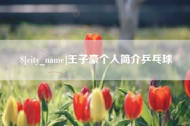 涉县王子豪个人简介乒乓球