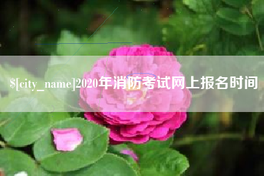 涉县2020年消防考试网上报名时间