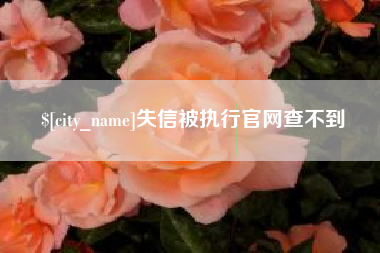 涉县失信被执行官网查不到