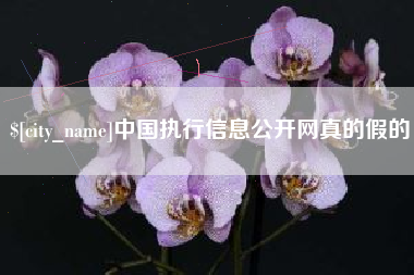 涉县中国执行信息公开网真的假的