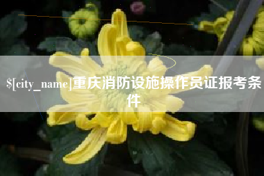 涉县重庆消防设施操作员证报考条件