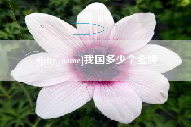 涉县我国多少个金牌