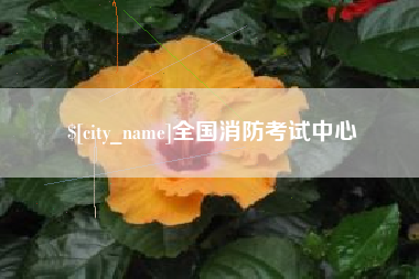 涉县全国消防考试中心
