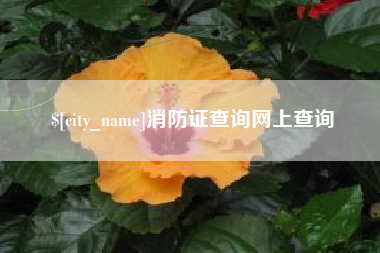 涉县消防证查询网上查询