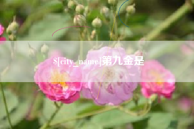 涉县第九金是