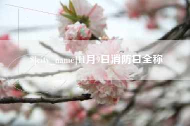 涉县11月9日消防日全称