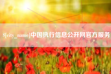 涉县中国执行信息公开网官方服务