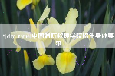 涉县中国消防救援学院招生身体要求