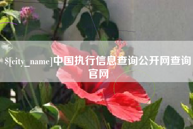 涉县中国执行信息查询公开网查询官网
