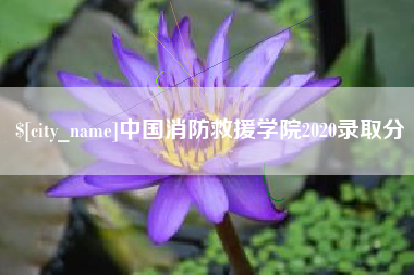 涉县中国消防救援学院2020录取分